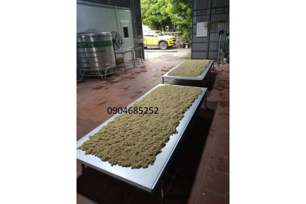 Những vấn đề gặp phải trong quá trình ủ men rượu, nấu rượu thủ công và cách khắc phục 